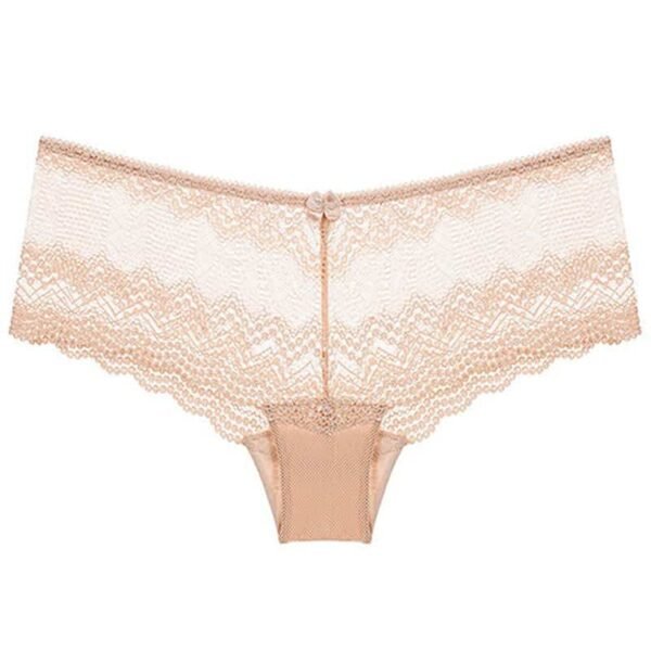 Women's Sheer Lace Hipster Panty nude color